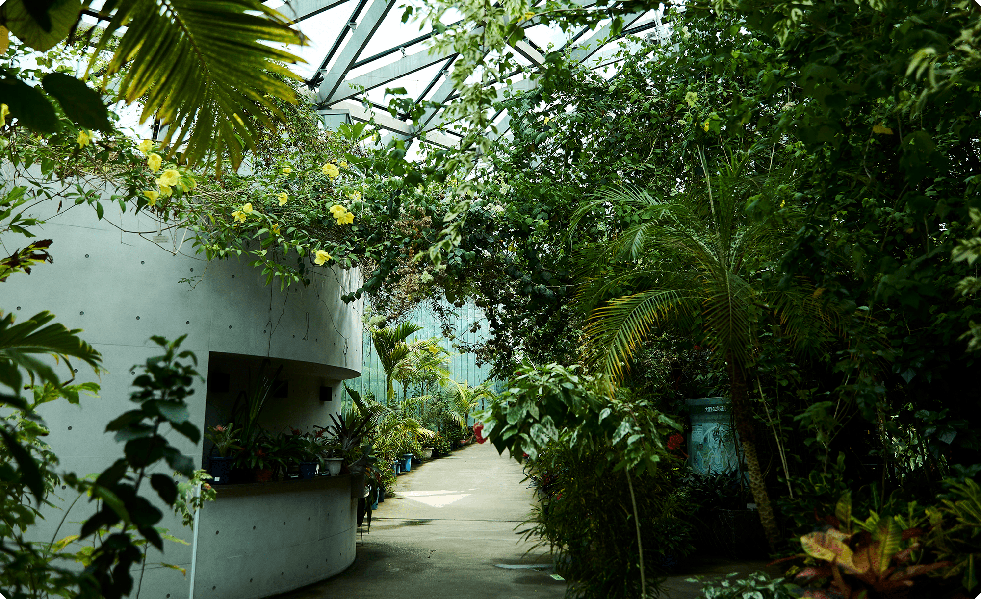 Greenhouse