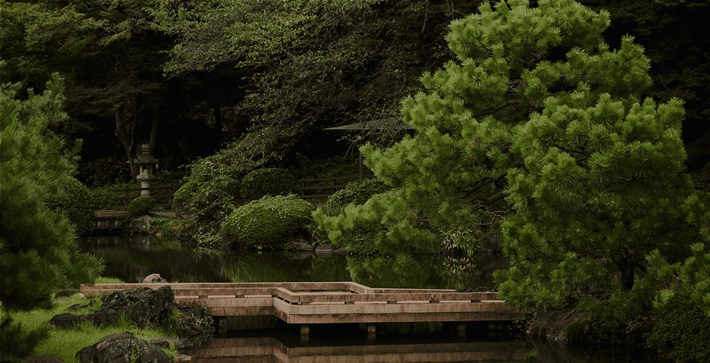 Shinjuku Gyoen all to yourself.